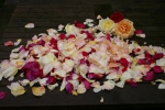 Frische Rosenbl�tenbl�tter Mix ca.Juni-September lieferbar