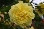 Sterntaler�