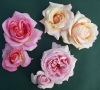 3er Duftrosen-�berraschungsset